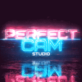 вебкам студия PerfectCam