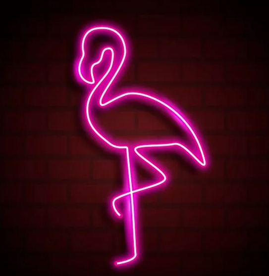 вебкам студия PingFlamingo